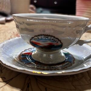 Sea Lion Caves Souvenir tea cup and saucer set